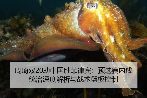 周琦双20助中国胜菲律宾：预选赛内线统治深度解析与战术篮板控制