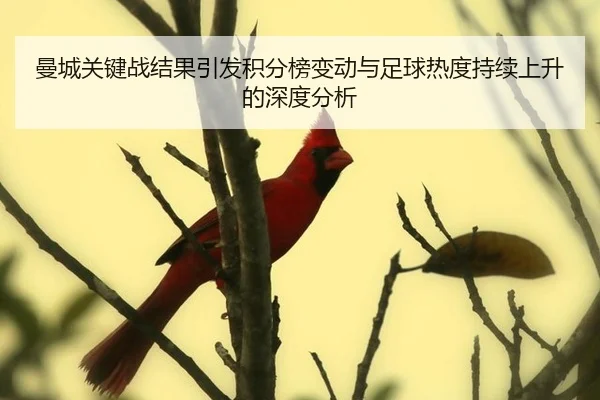 曼城关键战结果引发积分榜变动与足球热度持续上升的深度分析